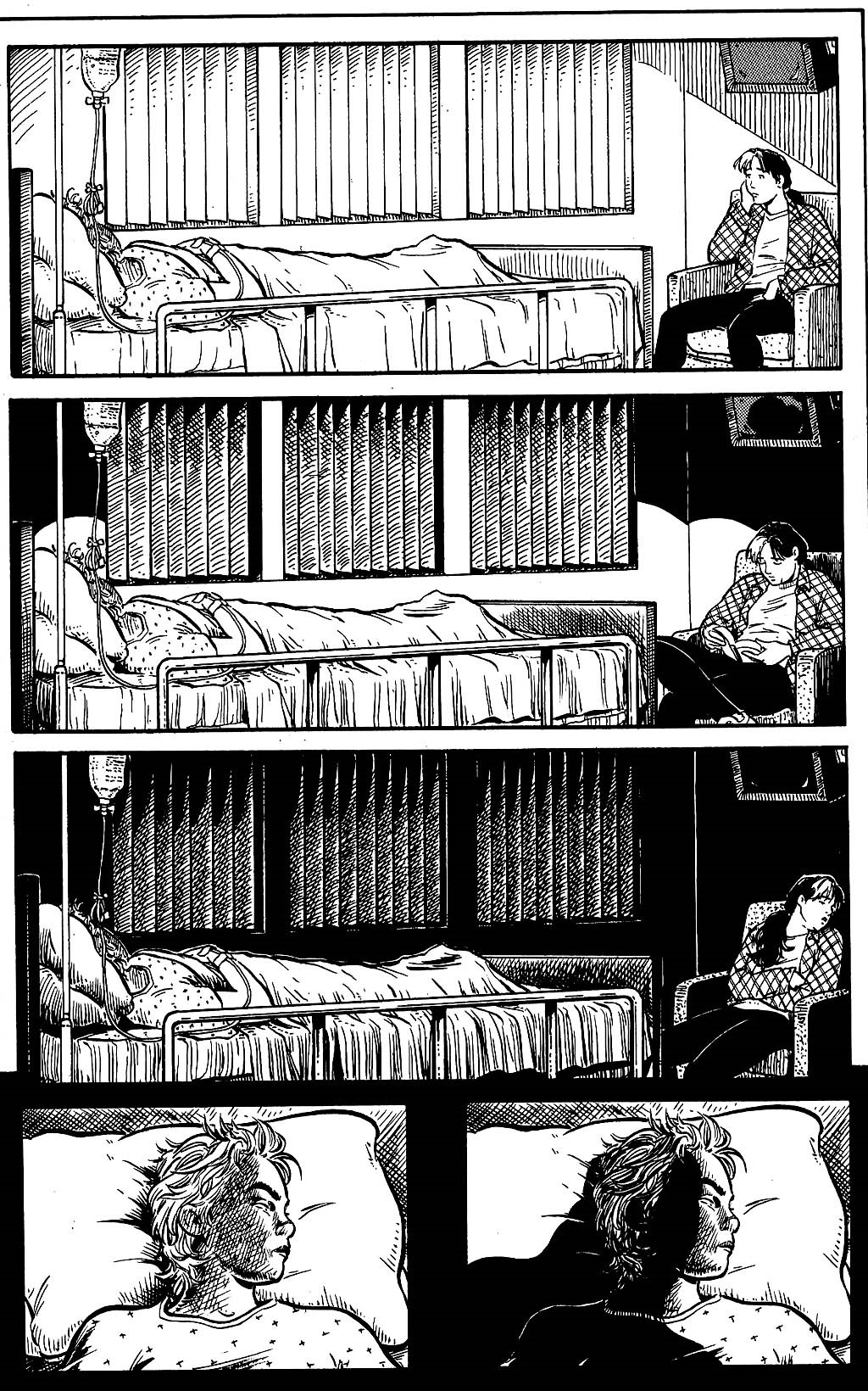Terry Moore - Strangers in Paradise - A Field of Lions, matita e china su cartoncino