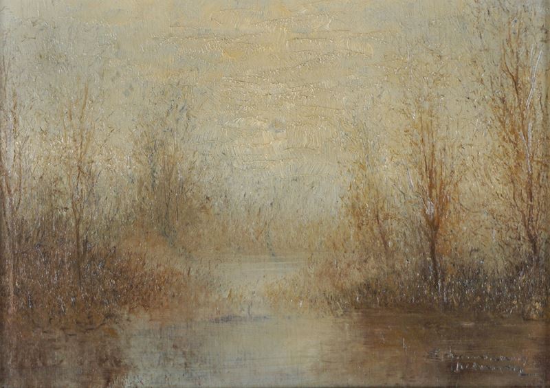 Scorcio di bosco con laghetto