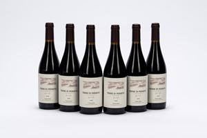 Terre di Perseto, Metello (6 BT)