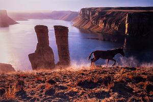 Horse and Two Towers, Afghanistan 