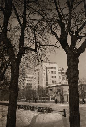 Petrovskii Park. New Buildings. 'Dynamo' Stadium District