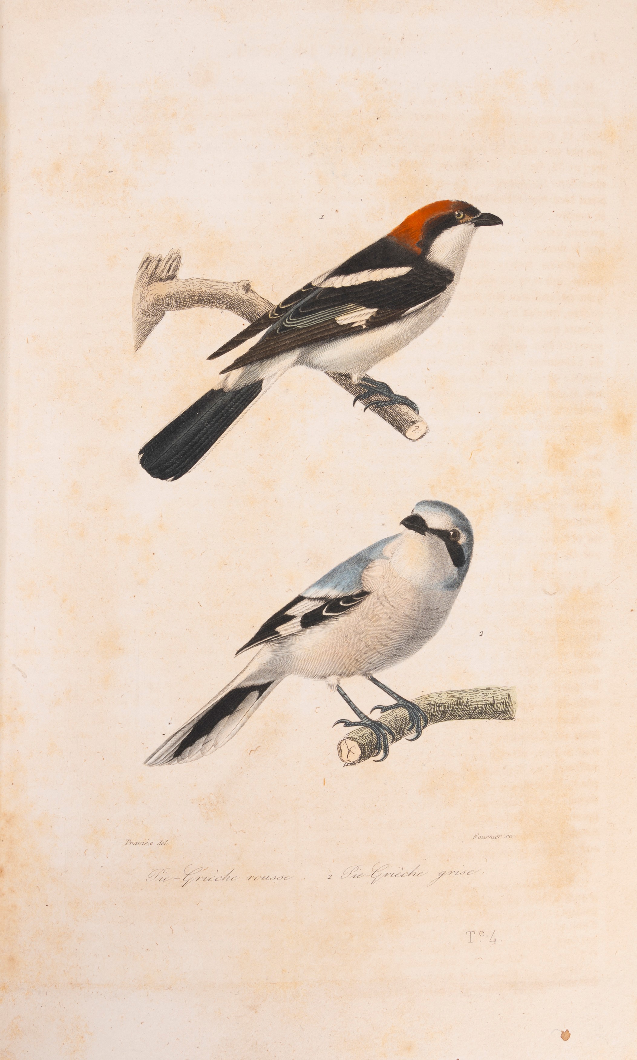 Oeuvres complètes