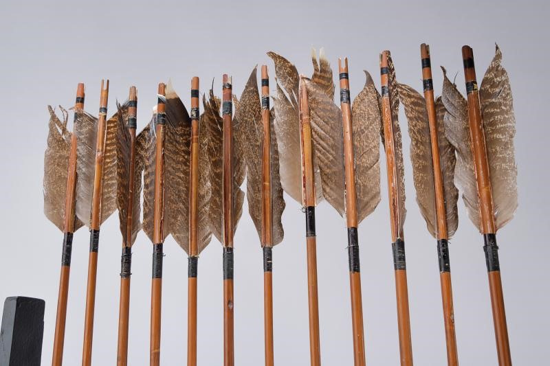 Bel set di daikyu (arco lungo) e dodici frecce