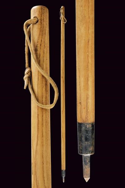 Bastone da Sci tipo Alpenstock per Telemark, Italia o Austria, lunghezza 145 cm