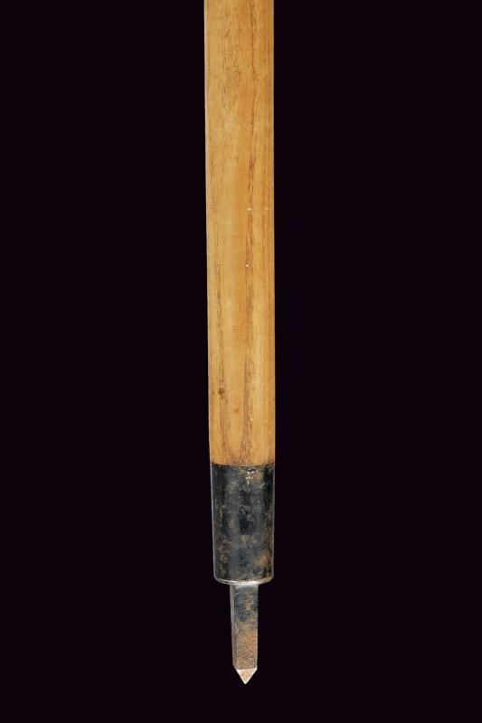 Bastone da Sci tipo Alpenstock per Telemark, Italia o Austria, lunghezza 145 cm