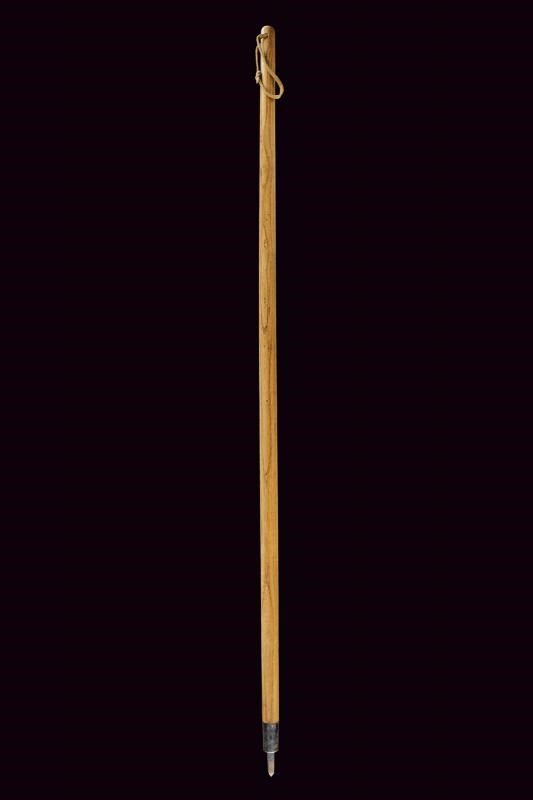 Bastone da Sci tipo Alpenstock per Telemark, Italia o Austria, lunghezza 145 cm