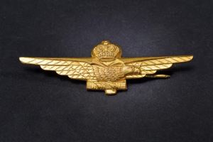 Piccolo brevetto da pilota