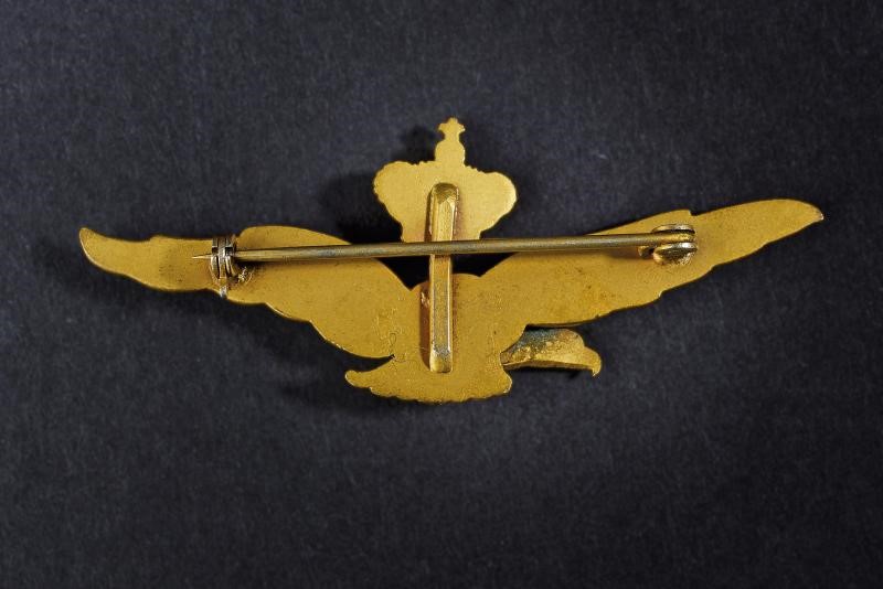 Brevetto da pilota, Regno d'Italia, 6.7 cm