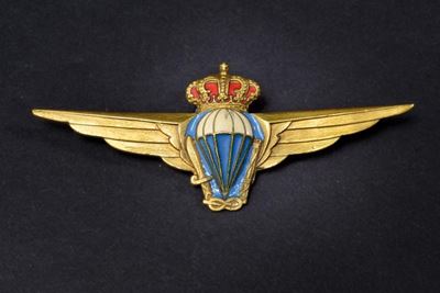 Distintivo da paracadutisti Libici, metallo dorato e smalti, lunghezza 7.8 cm