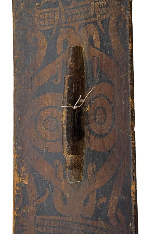 Scudo Grosso Kliau, Kalimantan, lunghezza 127 cm