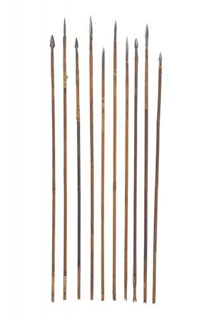 Lotto di dieci frecce