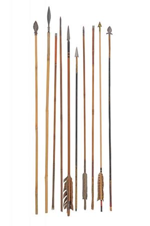 Lotto di dieci frecce