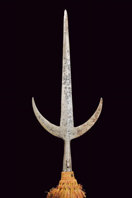 Ferro Brandistocco, Italia del Nord, altezza 236,5 cm