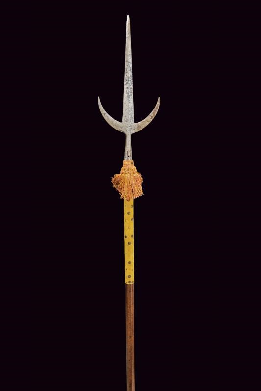 Ferro Brandistocco, Italia del Nord, altezza 236,5 cm