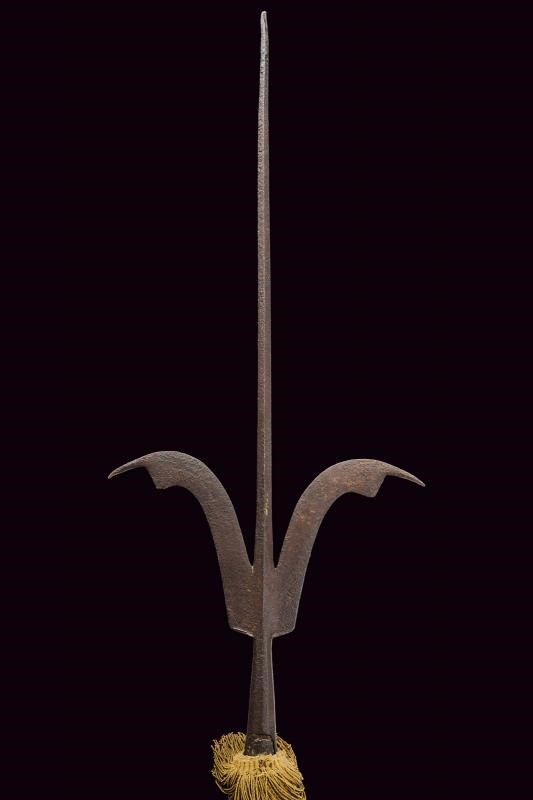 Corsesca a unghie, ferro Italia del Nord, altezza 257,5 cm