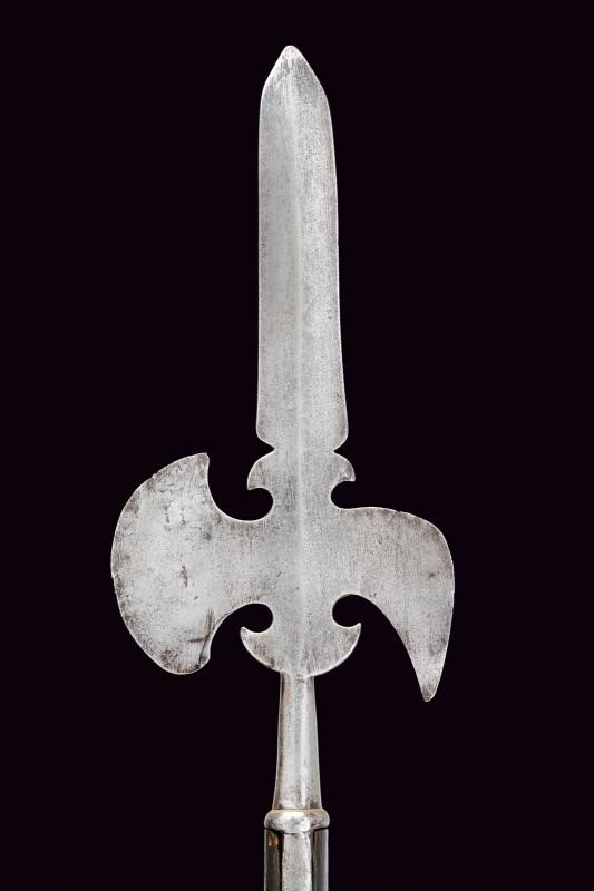 Sergentina, ferro con lama dritta a due fili, altezza 185,5 cm
