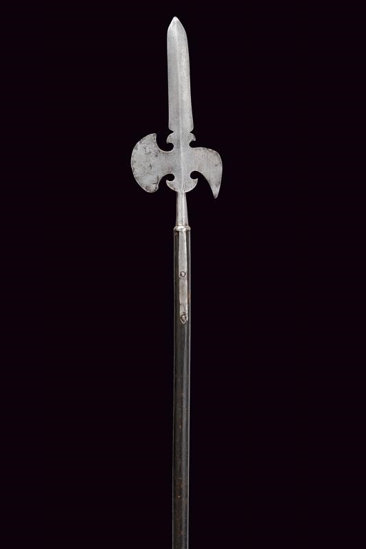 Sergentina, ferro con lama dritta a due fili, altezza 185,5 cm