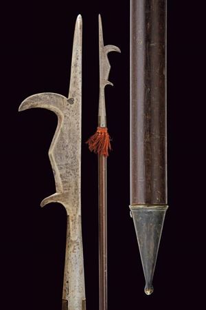 Sergentina a roncone