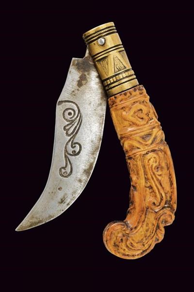 Coltello pieghevole, Bolzano, lunghezza 25 cm