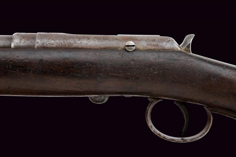 Sistema Fruhwirth mod. 1872, Gendarmerie-Repetiergewehr, calibro 11 mm
