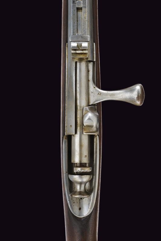 Fucile Carcano Mod. 1867 da fanteria, Regno d'Italia