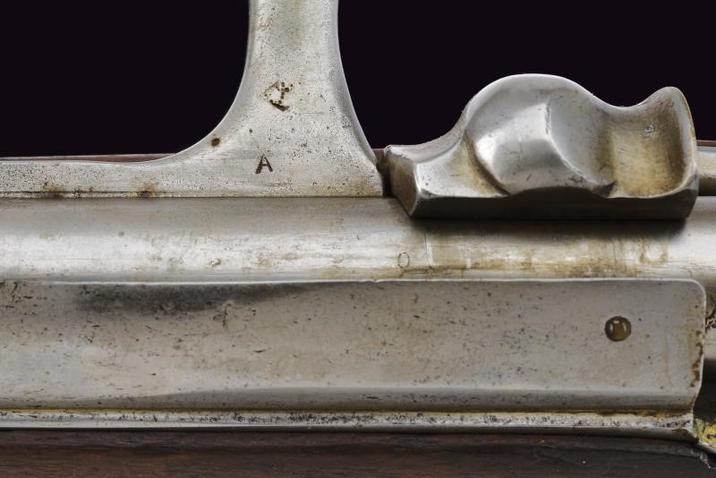 Fucile Carcano Mod. 1867 da fanteria, Regno d'Italia