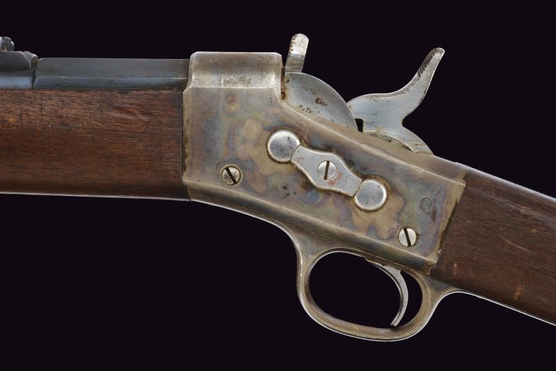 Fucile Remington, Modello Argentino 1879, retrocarica, cal. 11 mm