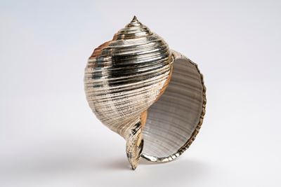Conchiglia decorativa in argento