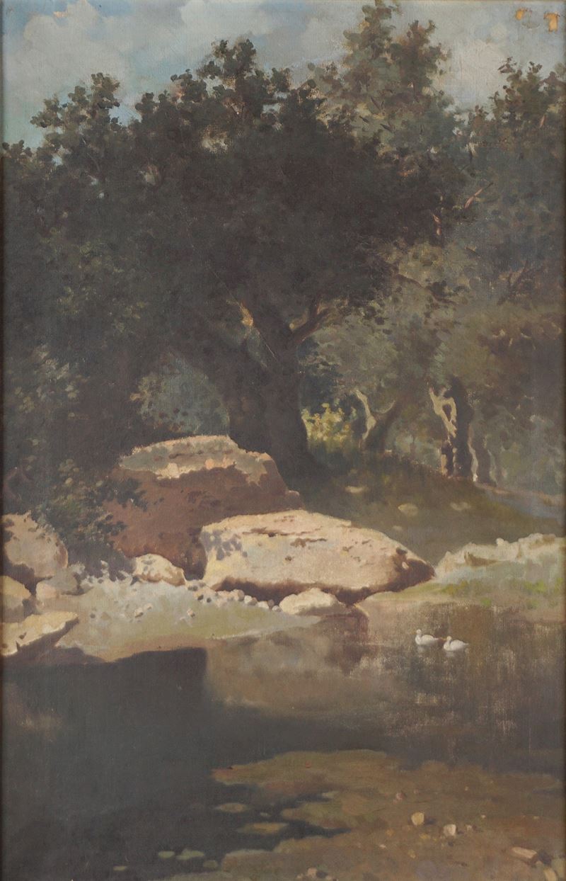 Paesaggio boschivo con torrente