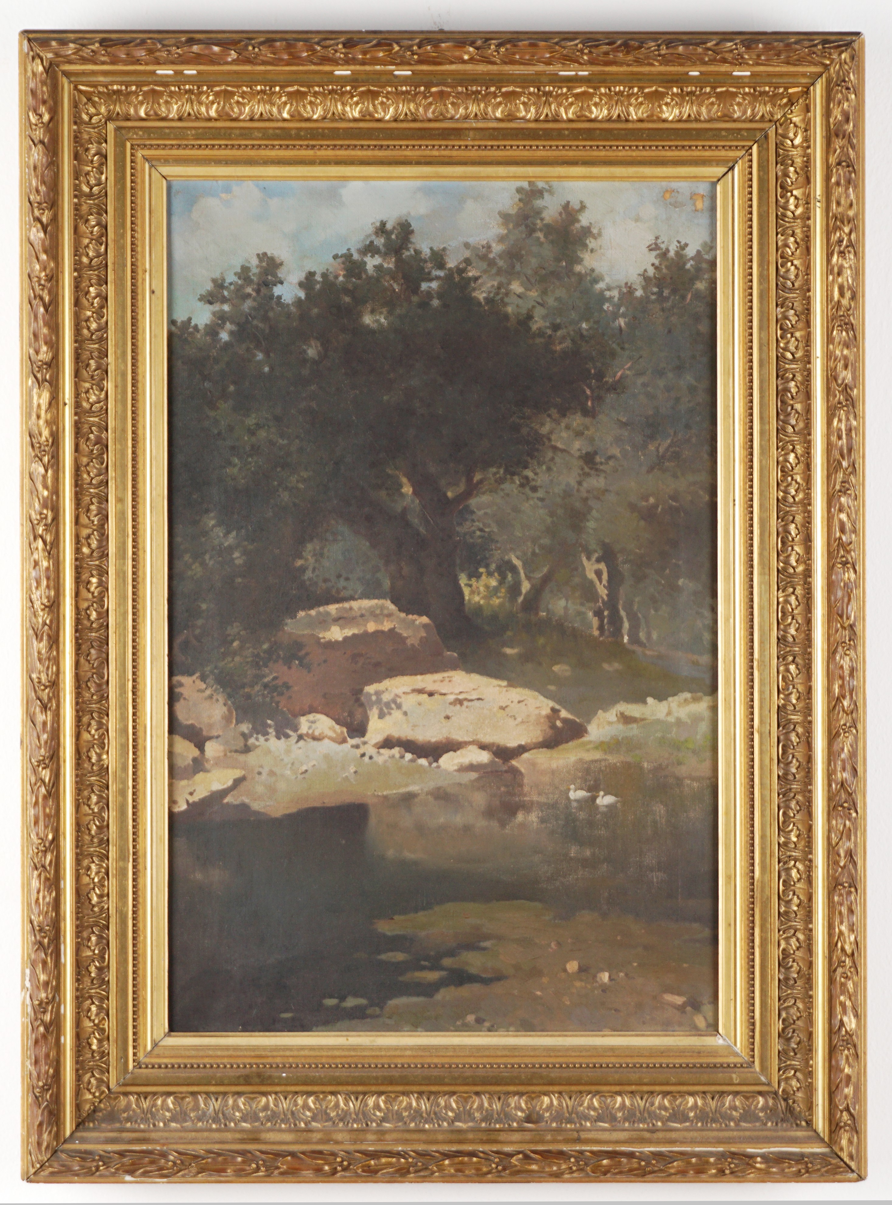 Paesaggio boschivo con torrente