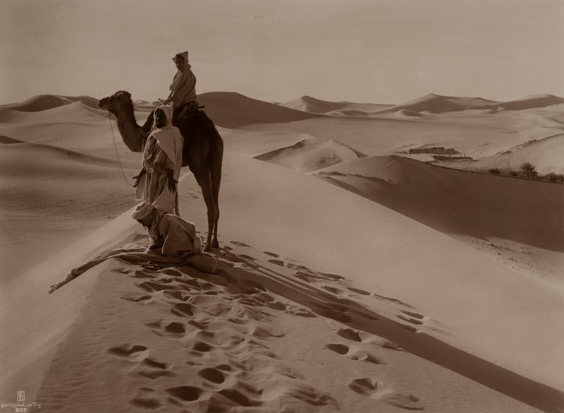 Senza titolo (Deserto)