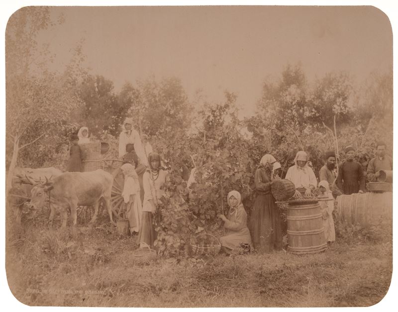 Senza titolo (Caucaso)