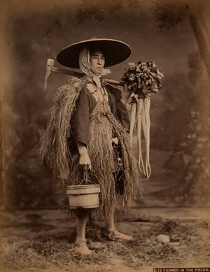 Farmer in the fields