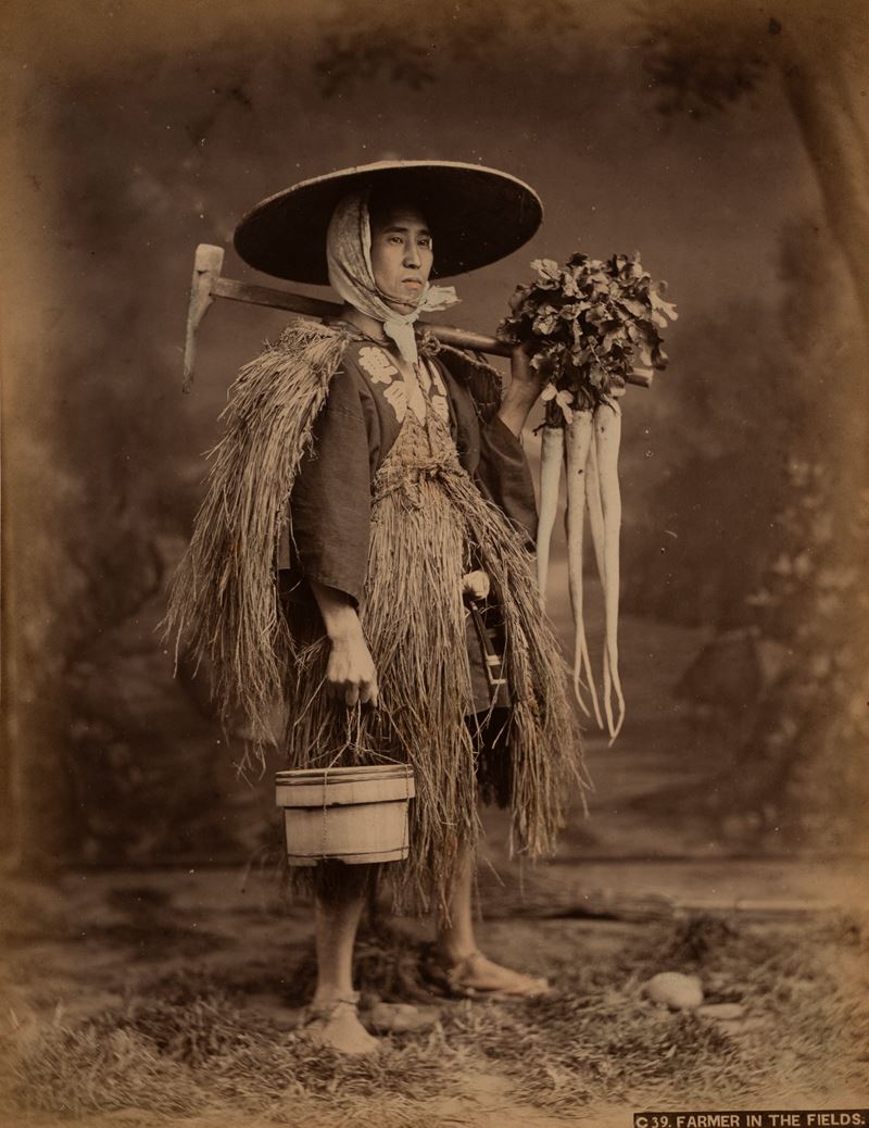 Farmer in the fields