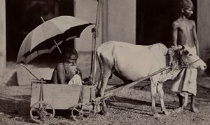 Senza titolo (Calcutta)