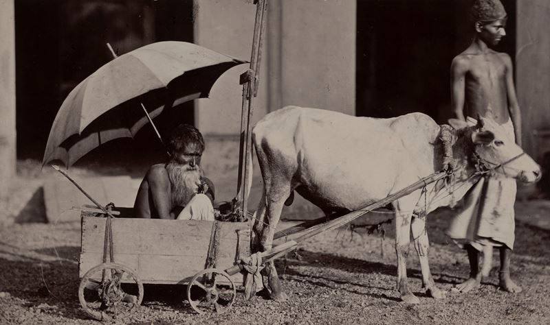 Senza titolo (Calcutta)