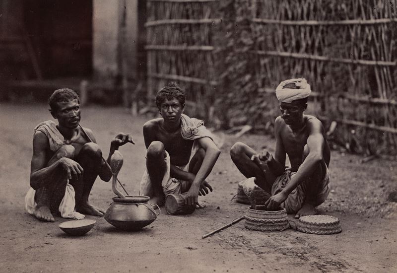 Senza titolo (Incanatori di serpenti, India)