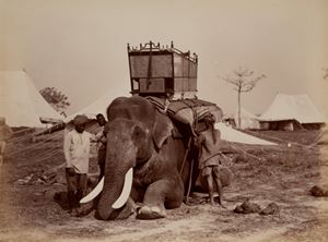 Senza titolo (India)