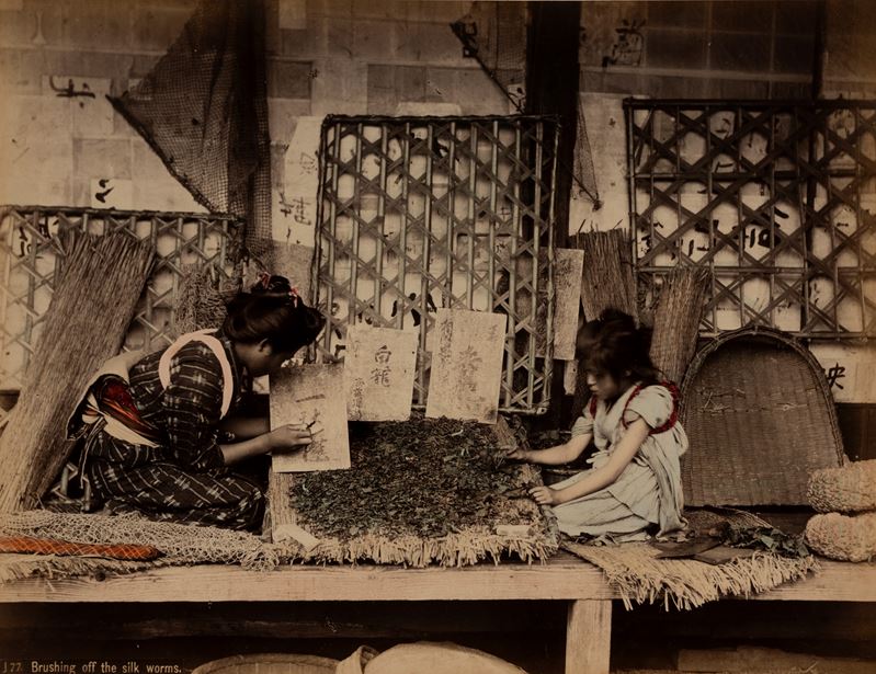 Brushing off the silk worms