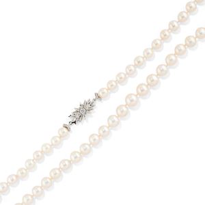 Pearl necklace
