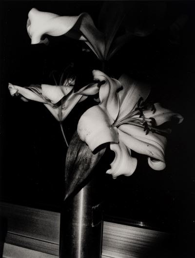 Senza Titolo (fiori)