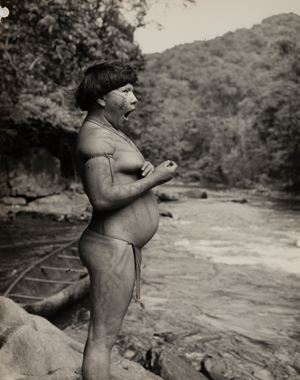 Senza titolo (Amazzonia)