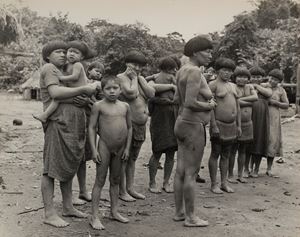 Senza titolo (Amazzonia)