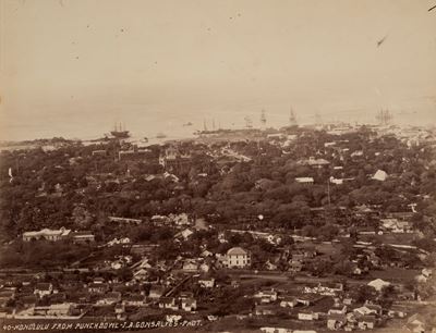 Unknown Artist, Honolulu from Punchbowl, stampa all'albumina