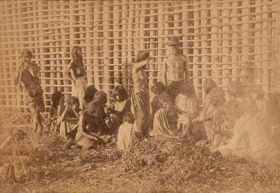 Vistas del Paraguay, stampa all'albumina applicata a cartoncino, 1889