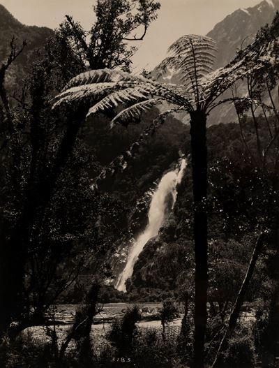 Bouen Falls (540 ft), Milford Sound, South Island, New Zealand - Stampa vintage alla gelatina ai ...