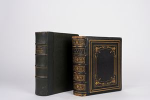 The illustrated Family Burns der thierre