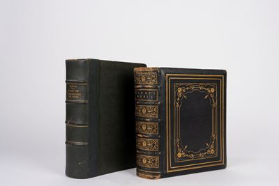 The illustrated Family Burns der thierre