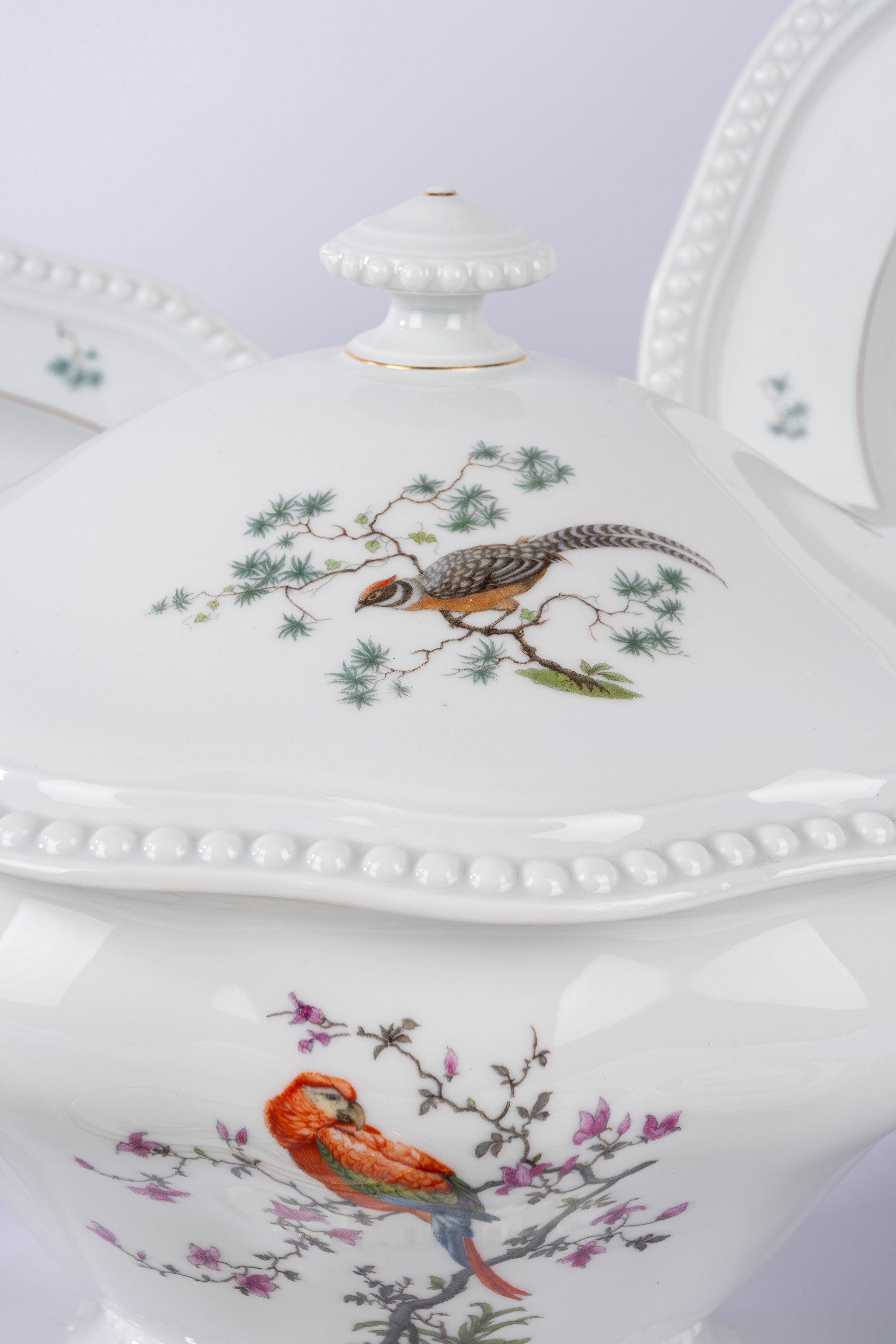 Servizio in porcellana. Rosenthal. Bavaria, secolo XX