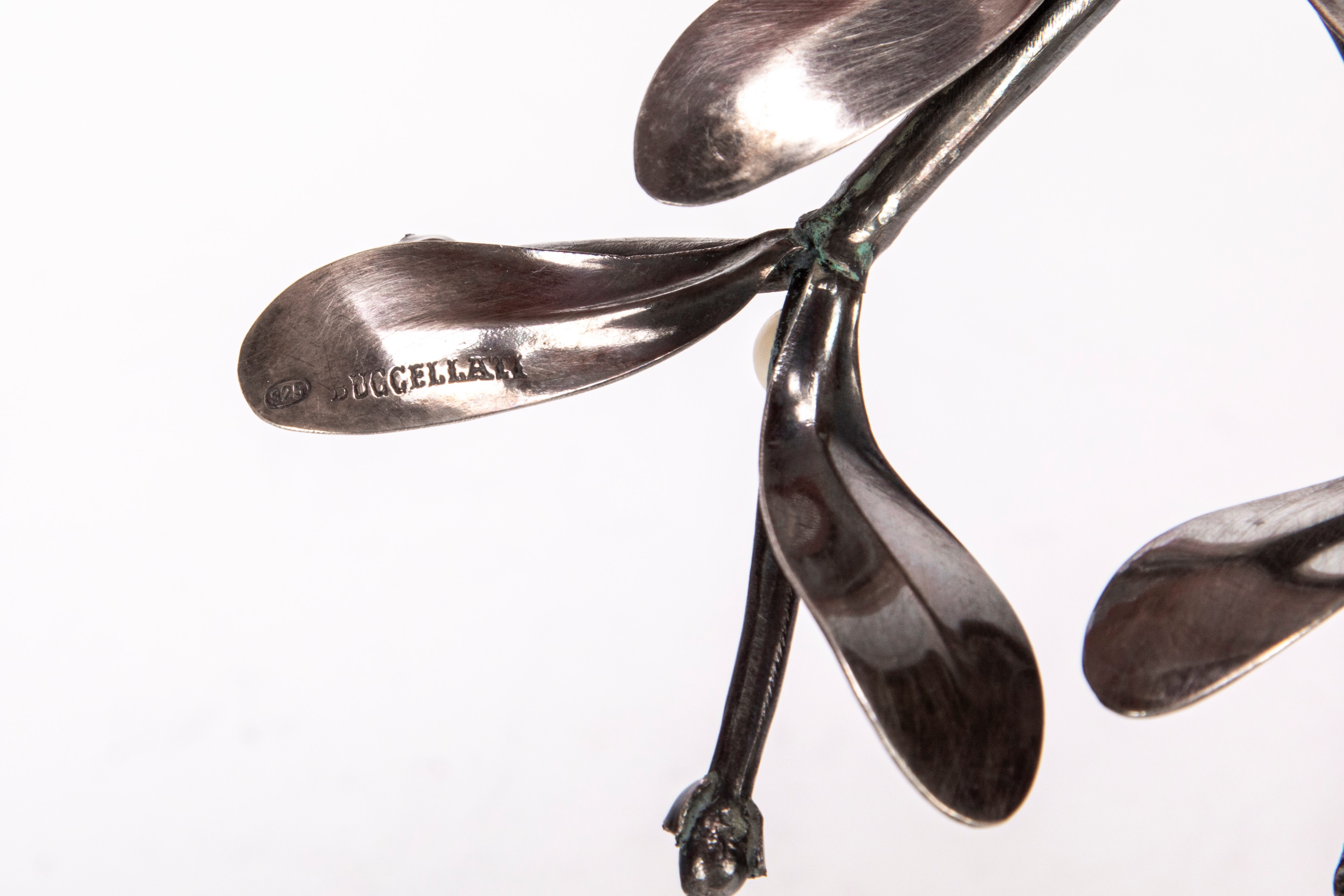 Piccolo ramo di vischio